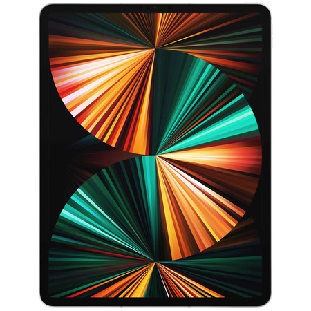 iPad Pro 12,9 Wi-Fi (5 Gen) 2TB Srebrny