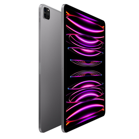 iPad Pro 12,9 Wi-Fi (5 Gen) 512GB Szary